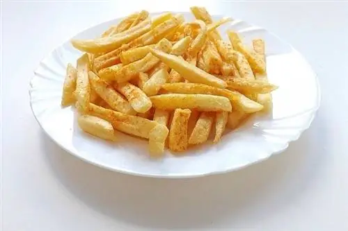 Je! Mbwa Wanaweza Kula Fries za Kifaransa