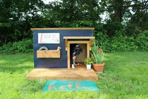 LUCY İÇİN YENİ BİR EV–MODERN KÖPEK EVİ