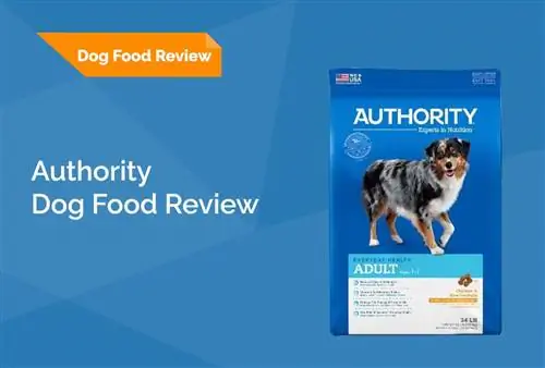 Authority Dog Food Review: Herroepings, voordele & Nadele