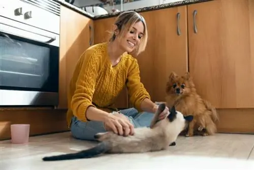 donna che gioca con i suoi animali domestici