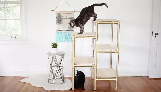 Cuteness Modern Cat Tree