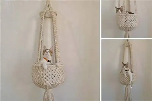 Macrame Hammock- Makramé kezdőknek