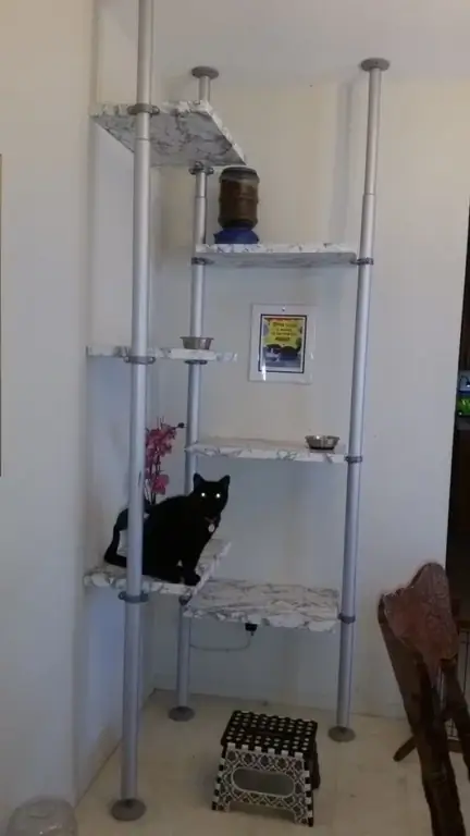 Bookshelf Feeding Station- Ikea hakerləri