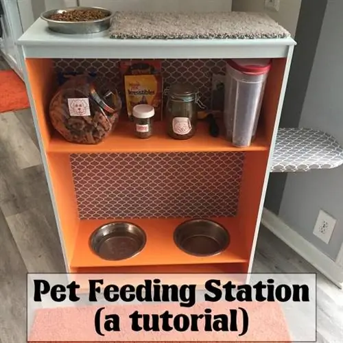 Station d'alimentation pour chats et chiens - Courses pour les cookies