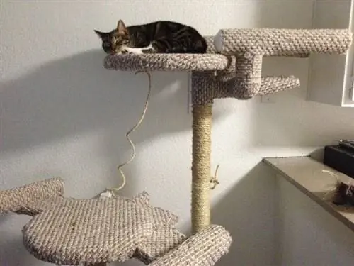 Star Trek Cat Tree