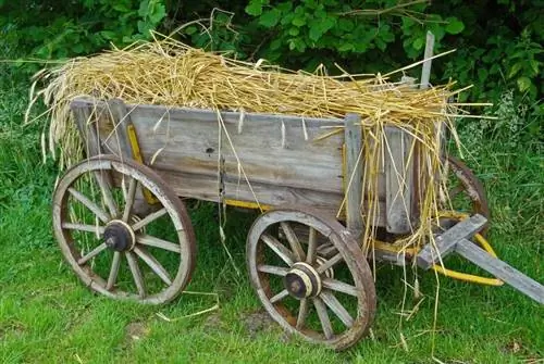 fieno di paglia nel carro