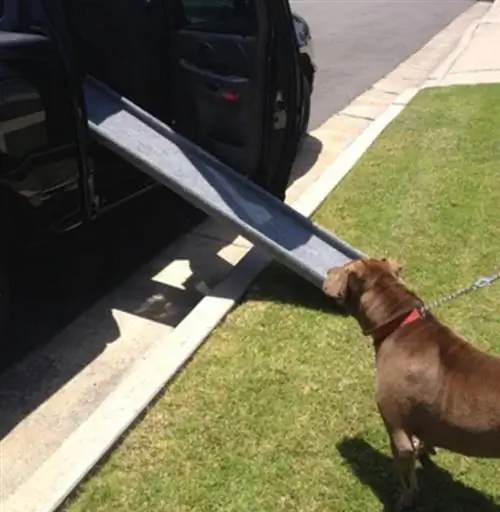 DIY outdoor dog ramp