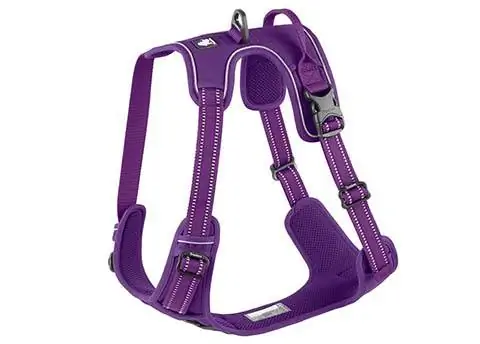 Chai's Choice Premium Outdoor Clip Harness