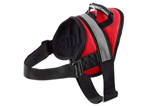 HDP Big Dog Hakuna Kuvuta Harness