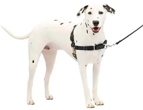 PetSafe Easy Walk Dog Harness