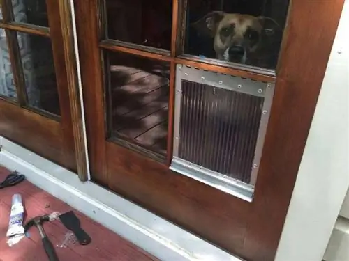 Pintu Anjing DIY untuk Anak Tetingkap Pintu Perancis