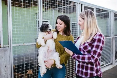 femme adoptant un chien d'un refuge