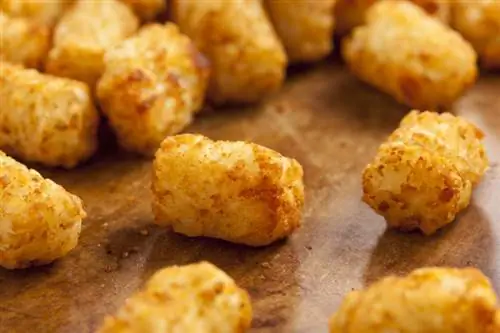 Kan honde Tater Tots eet? Veeartsgoedgekeurde feite & Gereelde vrae