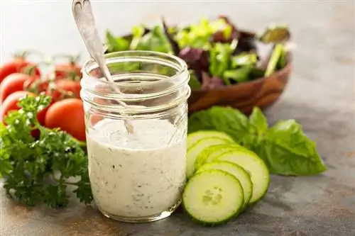 Mohou kočky jíst ranch dressing? Co potřebuješ vědět