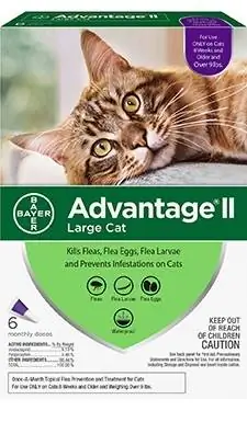 Advantage II Лечение на петна от бълхи за котки