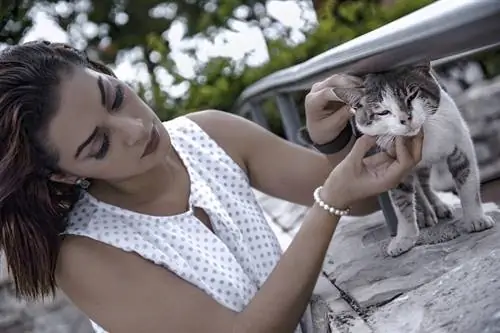 Mujer joven recogiendo un gato perdido