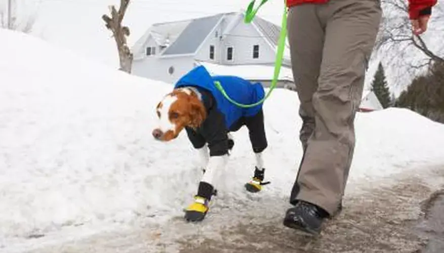 Fleece-Hundestiefeletten