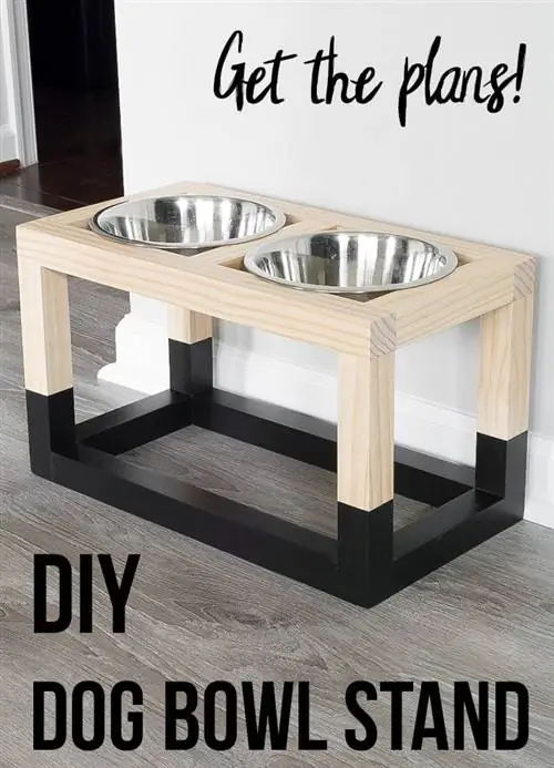 แผน DIY Life Simple Dog Stand ของ Anika