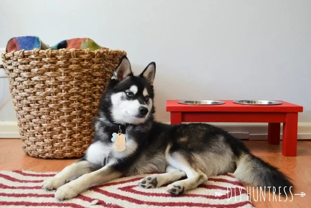 DIY Huntress Dog Bowl Stand