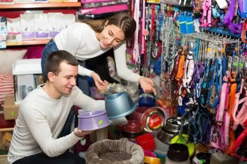 jeunes couples choisissant un bol de chat dans une animalerie