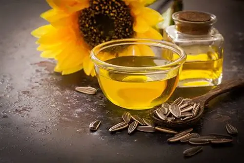 Aceite de girasol en vaso de botella con semilla