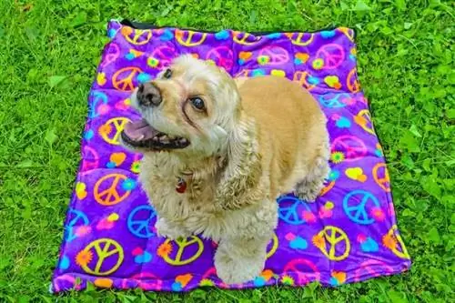 DIY Dog Cooling Mat