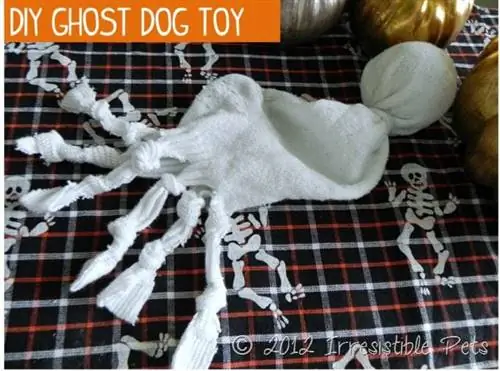 Howl-O-Ween {DIY Ghost Dog Toy}