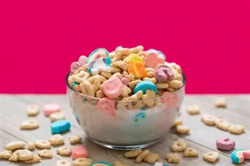 lucky charms graan in 'n helder bak met melk