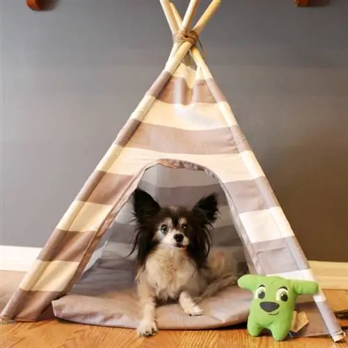 DIY psí teepee