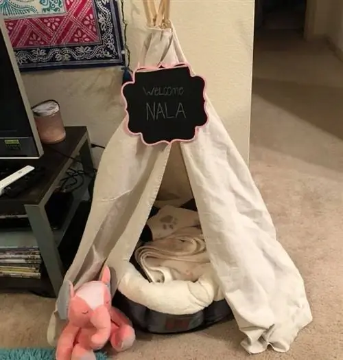 DIY psí teepee