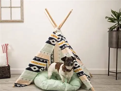 DIY psí teepee