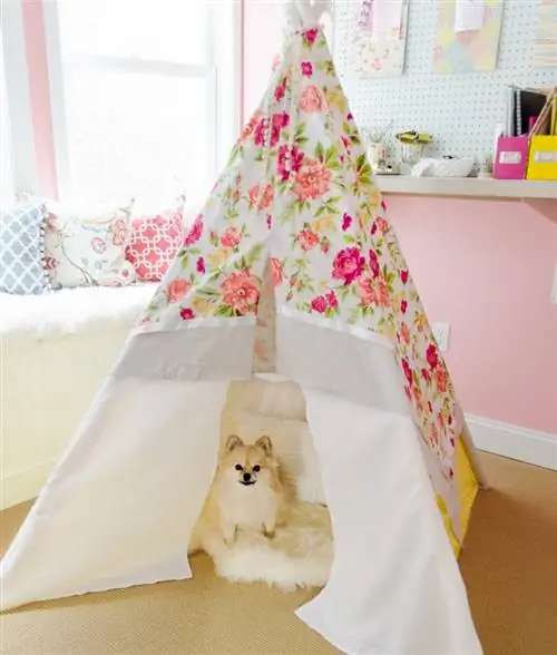 DIY psí teepee