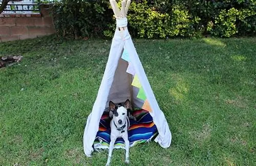 DIY psí teepee