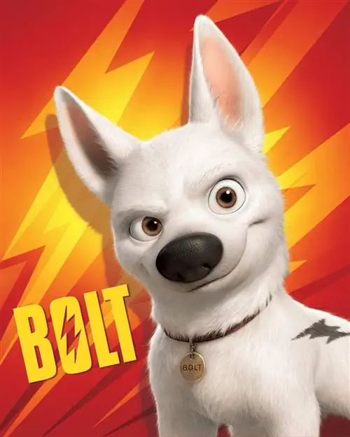 Watter honderas is Bolt uit die fliek? Oor Disney's White Shepherd