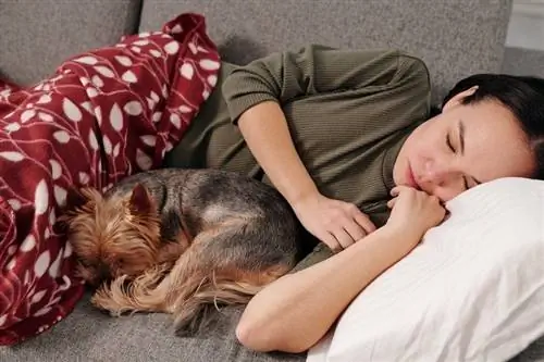 wanita tidur di sofa dengan anjing