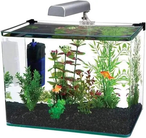 randloos aquarium