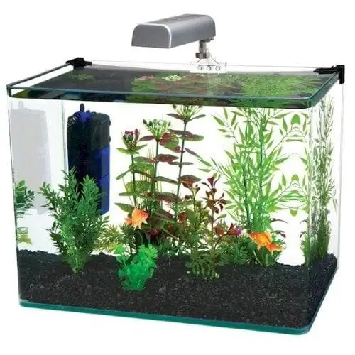 Meilleurs aquariums sans rebord de 5 gallons en 2023 - Avis &