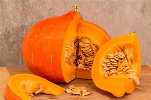 calabaza en rodajas sobre una mesa