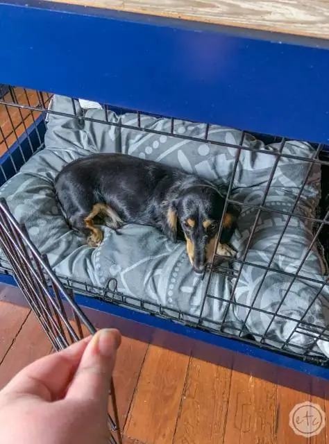 DIY HONDEKENNEL OVERSLAG MET 'N ANTIEKE DEUR