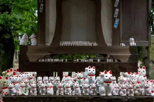 Gotokuji ibodatxonasida Maneki-Neko yoki yapon pul mushuki