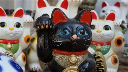 ጥቁር እና ነጭ maneki neko