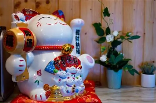 Желдетүүчү жана барабан Maneki Neko