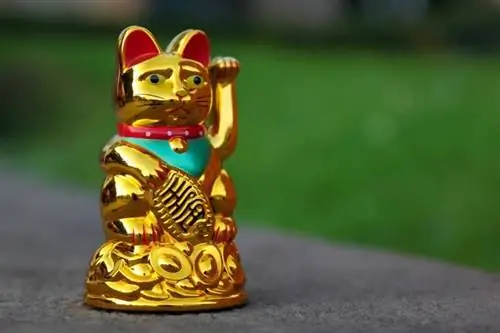 ոսկի maneki neko