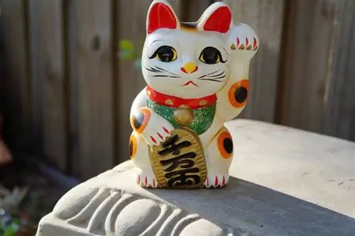 Japannese waaiende gelukkige kat – Die geskiedenis agter Maneki-Neko