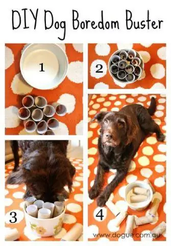 DIY Dog Boredom Buster _ ინტერაქტიული ძაღლის სათამაშო