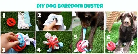 Gumawa ng Iyong Sariling Interactive Dog Toy