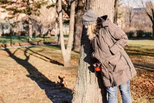 žena koja igra žmurke sa svojim psom u šumi