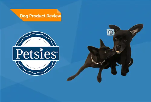 Petsies Custom Pet Plushies รีวิว 2023: ข้อดีข้อเสีย & คำตัดสิน