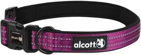 Alcott avontuurlijke hondenhalsband