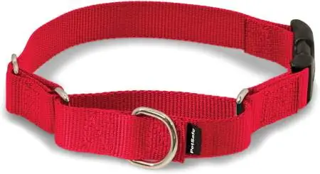 PetSafe Martingale жакасы